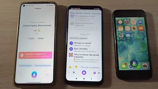 Бой голосовых ассистентов Алиса vs Маруся vs Siri . Яндекс vs Mail.ru vs Apple