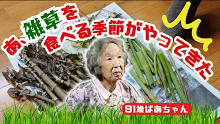 91 year old grandma starts cooking weed and is shocked.