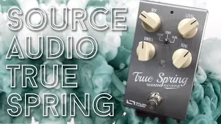 Vintage Verb - Modern Features - Source Audio True Spring Review