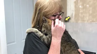 Eleven Years Apart, Cat Missing for Years Found and Gently Hugs His Owner