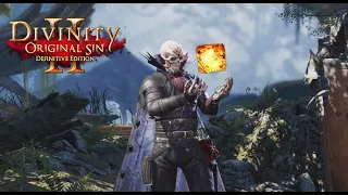 Divinity Original Sin 2 - One tap The Harbinger of Doom and The Eternal Aetera LW (Honour mode)