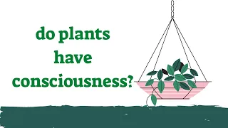 Do Plants Have Consciousness?