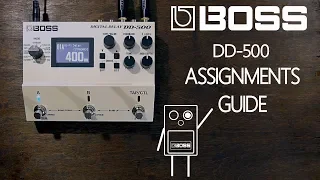 BOSS DD-500 Control Guide Assignments