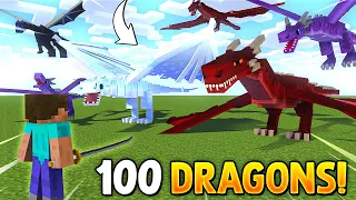 100 DRAGONS vs Me in Minecraft