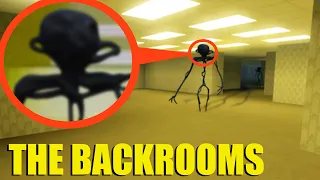 we found the Backrooms in real life... goodbye. (found footage)