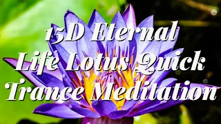 15D Eternal Life Lotus Quick Trance Meditation