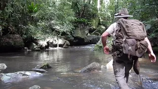 Australian Jungle Camping Experience...