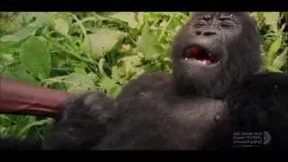 Virunga - Trailer