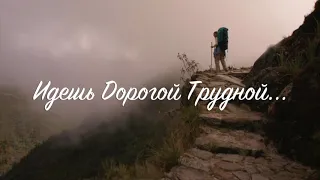 Идешь дорогой трудной и опасной? // Дина Емчук