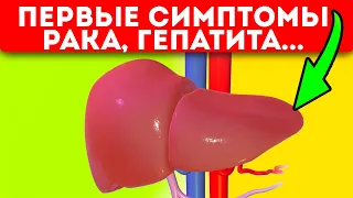 Тревожные сигналы того, что в печени полно болезней и токсинов! Болезни печени и профилактика