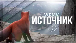 🌌 wcmv | Источник [Original]