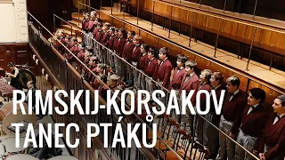 Pueri gaudentes – Rimsky-Korsakov: Dance of the Birds (The Snow Maiden)