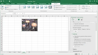 Как в Excel вставить картинку в ячейку или группу ячеек