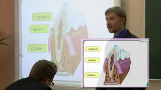 Биология 9 класс. Открытый урок Кулишова Сергея Андреевича