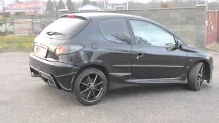 Peugeot 206 2.0 16V S16