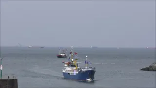 OUDVISSERSDAG SCHEVENINGEN   17 6 2022