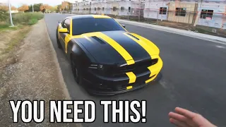 Why You NEED TO OWN the 13-14 Mustang 5.0! BUY ONE ASAP!