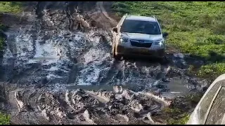 subaru forester sk off road deep mud. king spring lift.