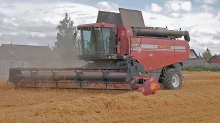 Уборка ячменя / 3X ПАЛЕССЕ GS16, CLAAS Lexion 580, 3X МАЗ 5551, 6501 /