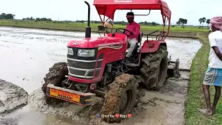 Mahindra Yuvo Tech Plus 585DI || 50HP 4WD Tractor 🚜 || Puddling With 6 Feet Rotavator