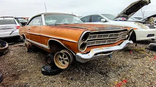 Project Abandoned Long Ago. 1967 Ford Galaxie 500 Junkyard Find