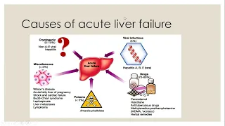Practical Approach to Common Medical Emergencies Part 6 Course: Acute Liver Failure