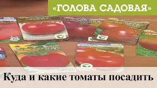 Голова садовая - Куда и какие томаты посадить