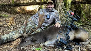 Bow Hunting the Fallow Rut 2024 (3 deer down)