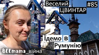 Війна#85 Веселий цвинтар у Сепинці /Поїхали в Румунію / Діма їде закордон / купила насіння / розсада