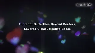 Flutter of Butterflies Beyond Borders in Layered Ultrasubjective Space / 境界のない群蝶、そして積層された空間