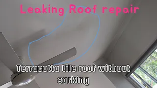 Roof leak inspection and successfully repair leaking tile roof - saving thousands of dollars!