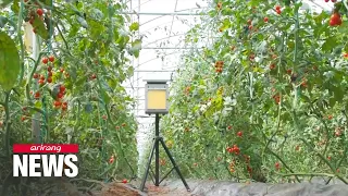 Automated pest traps helping farmers prevent crop damage