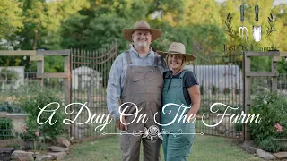 A DAY ON THE FARM