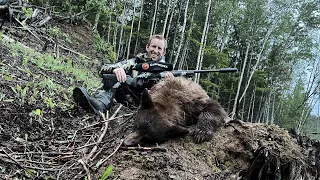 Wolves and Bears / Idaho Predator Hunt - Stuck N The Rut 171