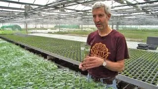 Visit at DENNERLE - the largest European supplier of aquatic plants