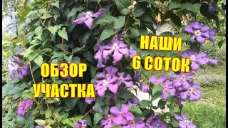 Наши 6 соток😃 Летний обзор дачного участка🌻😉🌿