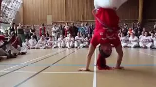 Capoeira Muzenza 2016 Roda Festival França