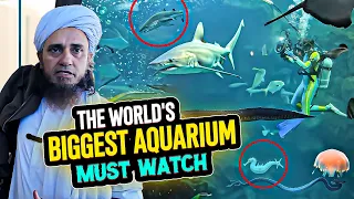 Mufti Tariq Masood - The World's Biggest Aquarium Vlogs