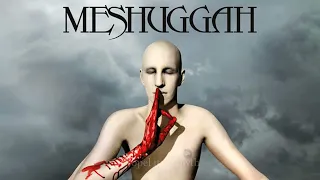MESHUGGAH - BLEED [LYRIC VIDEO]