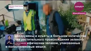 Житель ВКО хранил 50 кг наркотиков во дворе дома (16.09.20)
