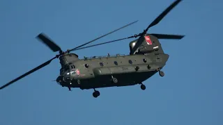 raf chinook torbay airshow 2018