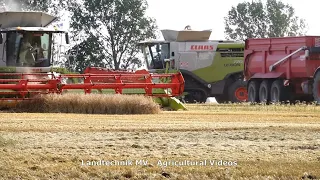 Claas - Fendt - John Deere / Getreideernte - Grain Harvest  2020