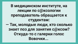 Сколько Поз Знает Вовочка! Сборник Свежих Смешных Жизненных Анекдотов!