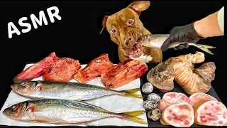 ASMR MUKBANG DOG EATING RAW FOODS WHOLE FISH DUCK LEGS