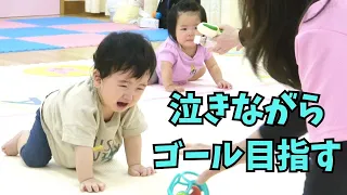 赤ちゃんハイハイ（よちよち）レースで子育て世代が交流　日本海新聞