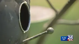 ‘Mystery disease’ has MassWildlife warning against use of bird feeders