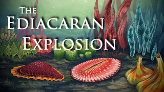 The Ediacaran Explosion ft. CambrianScience