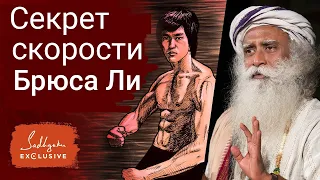 Садхгуру - Секрет скорости Брюса Ли (Садхгуру 2020)