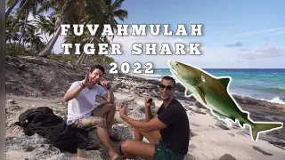 FUVAHMULAH TIGER SHARK 2022 MALDIVE DIVE TRIP