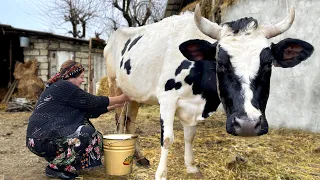 Grandma Milked the Cow: Cooking Rice Pilaf and Pudding from Fresh Milk!